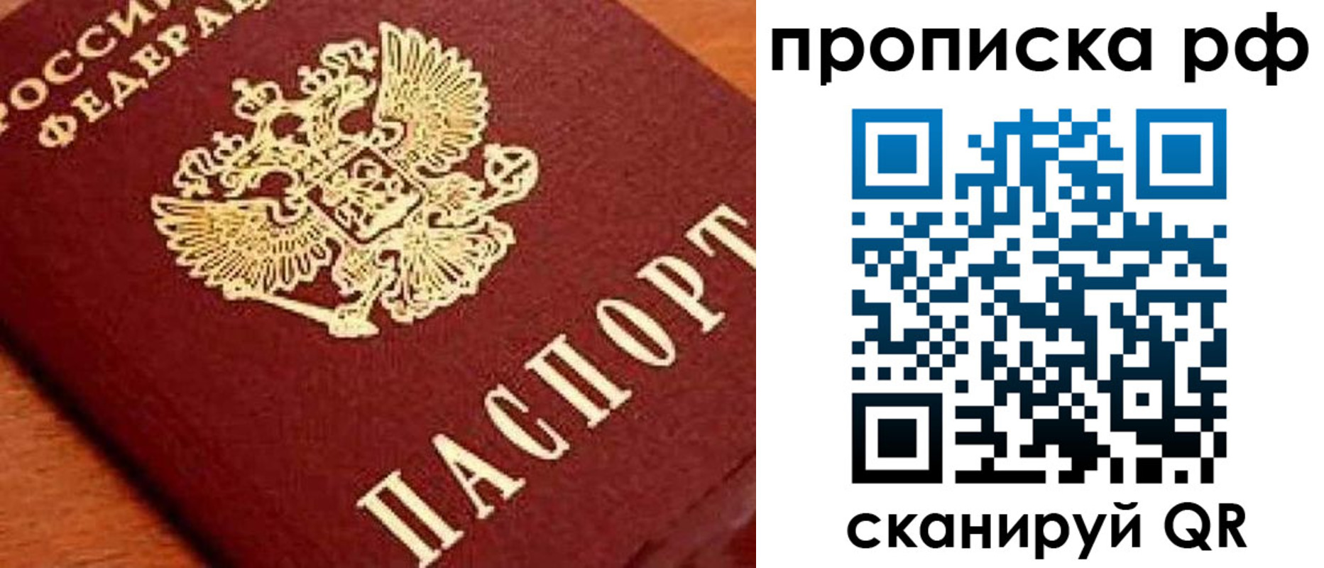 прописка законно в Дятьково